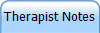 Therapist Notes